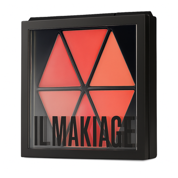 IL Makiage Color Master Lip Pallete Shade MORNING MIMOSA