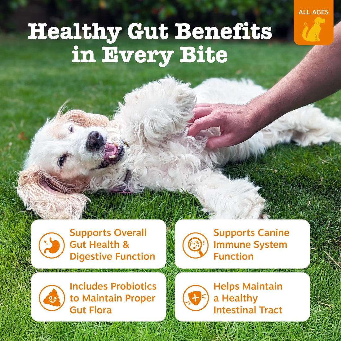 Zesty Paws Probiotic Bites Soft Chews for Dogs, 90 counts