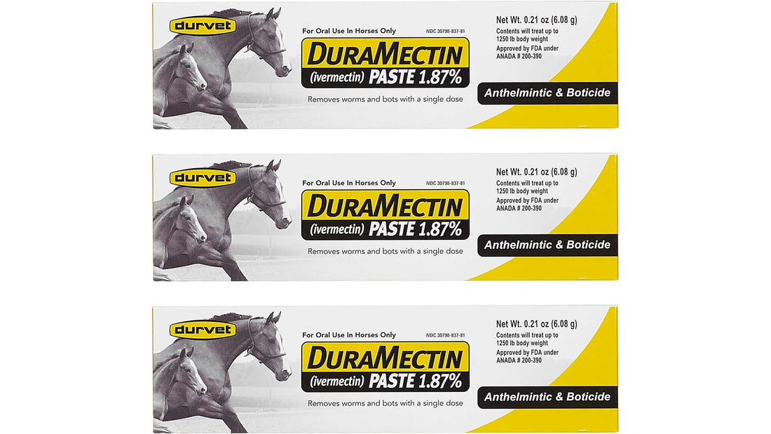 Durvet Duramectin Equine Wormer Paste - 3 Tubes