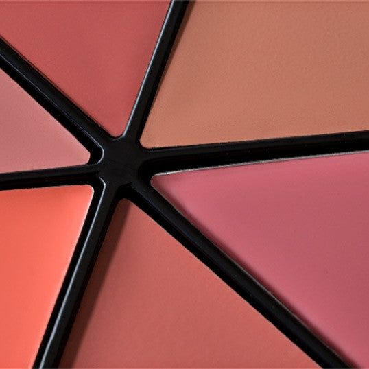IL Makiage Color Master Lip Pallete Shade MORNING MIMOSA